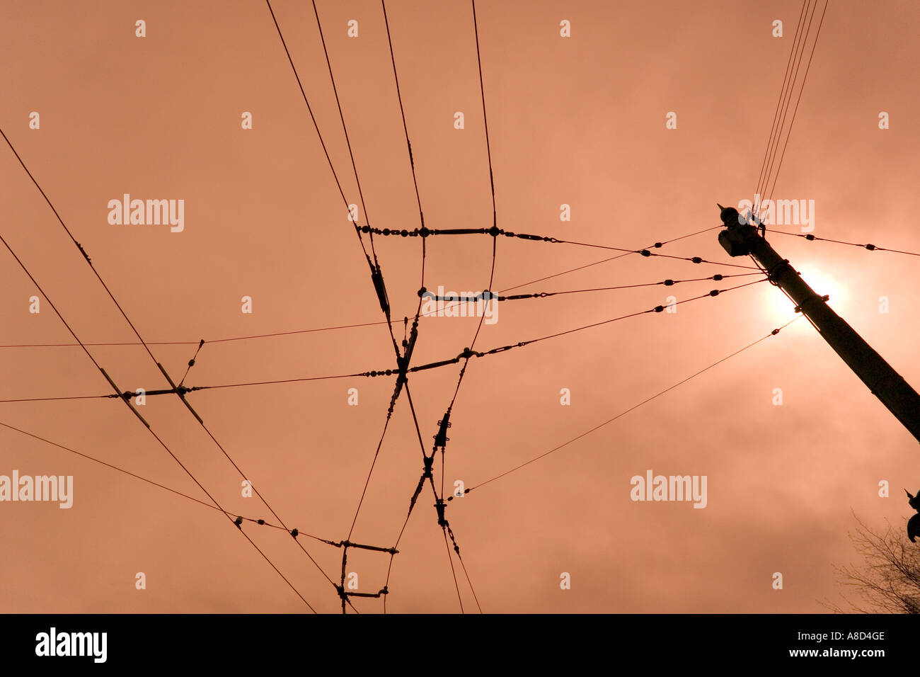 Obenliegende Straßenbahn Stromleitungen bei Beamish Open Air Museum, County Durham Stockfoto