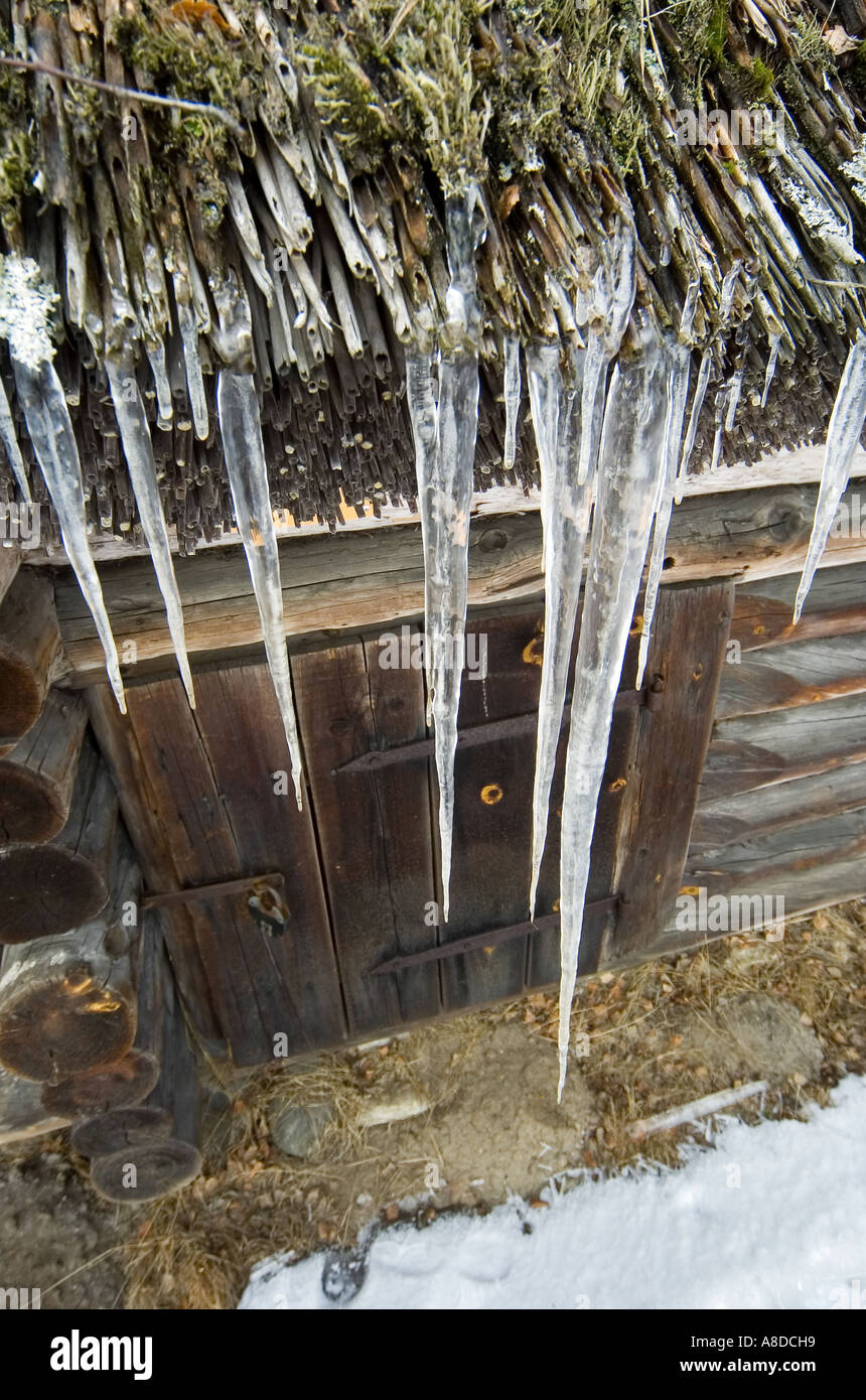 Holz Bauernhof Hausdach Cane hängiger mit Eiszapfen Stockfoto