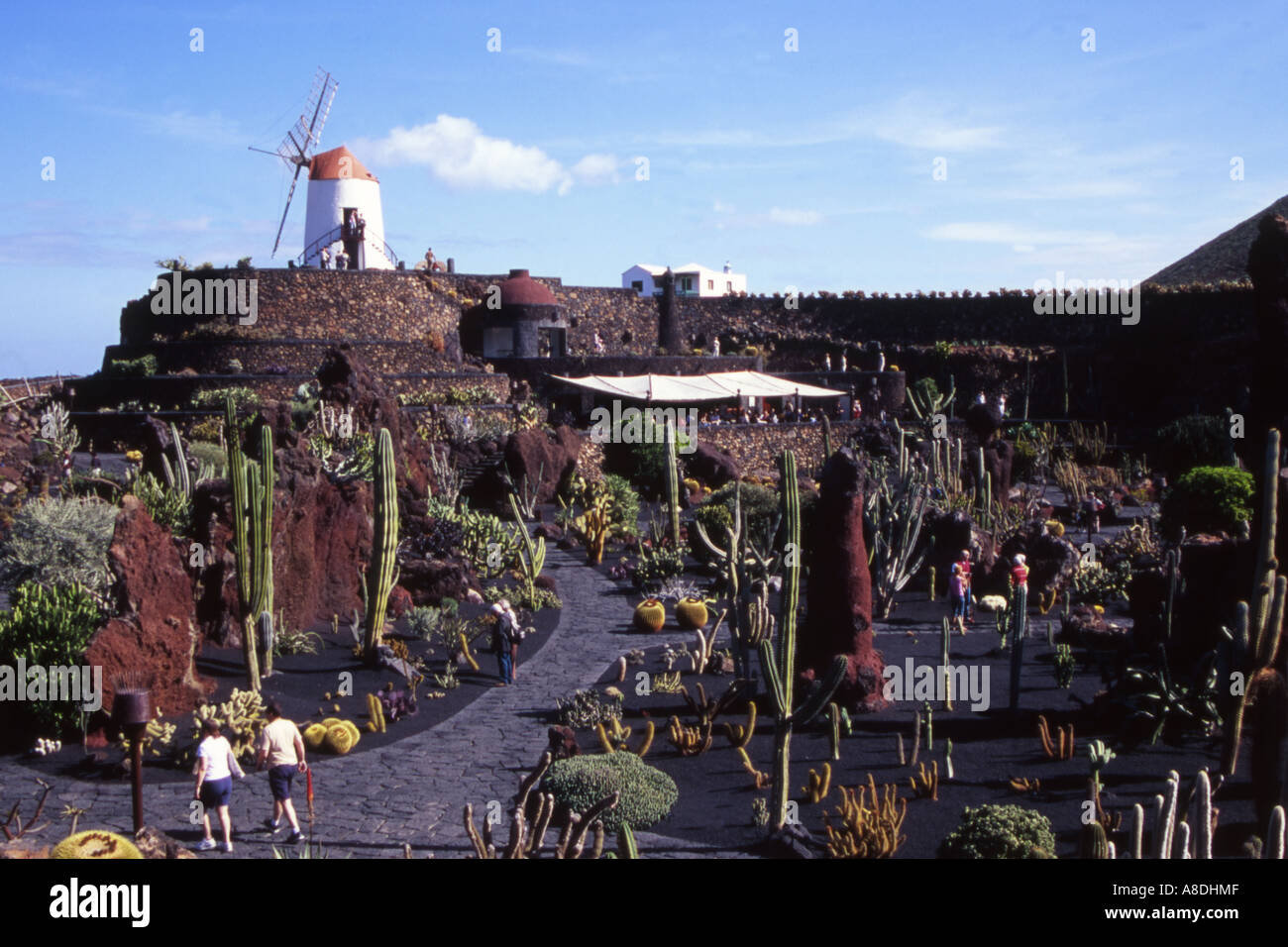 GUATIZA. KAKTEENGARTEN. LANZAROTE. KANARISCHEN INSELN. EUROPA Stockfoto