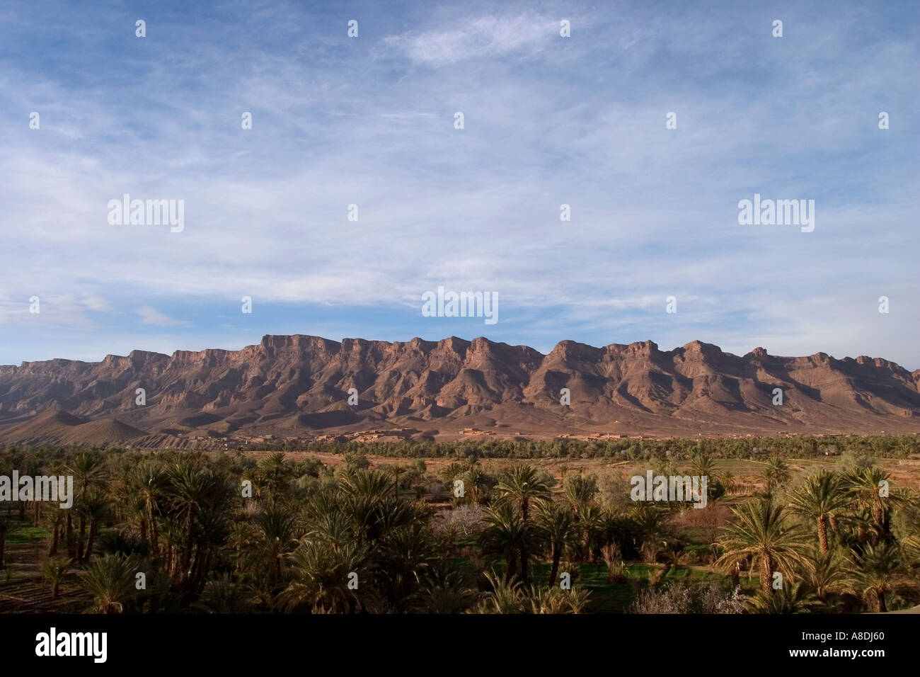 Draa-Tal Landschaft Süd-Marokko Stockfoto