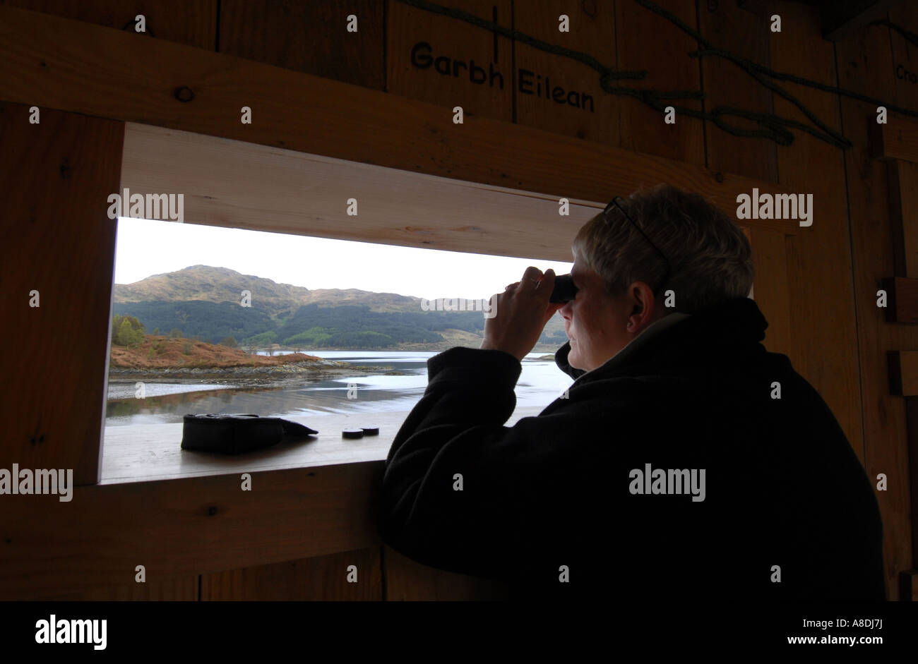 DIE WILDLIFE VIEWING VERBERGEN BEI GARBH EILEAN, ARISAIG, NORTH WEST SCOTLAND.UK Stockfoto