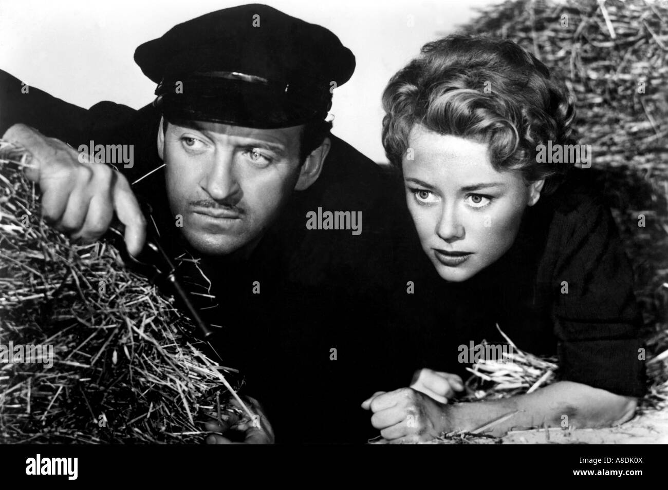 Termin mit VENUS - 1951 GDF Film mit David Niven und Gynis Johns, die meisten erschossen auf Sark Stockfoto