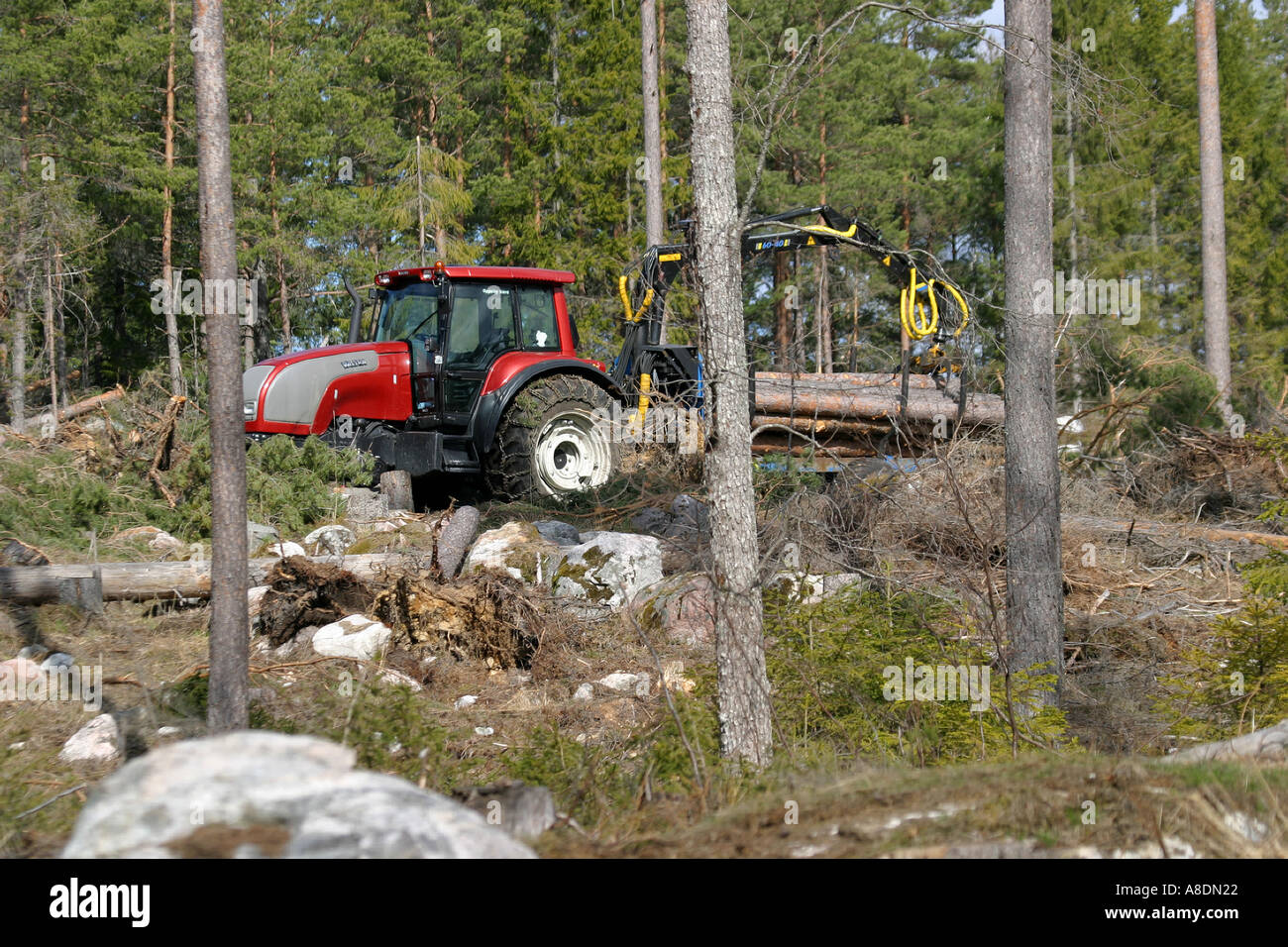 Traktor aus Holz Stockfoto