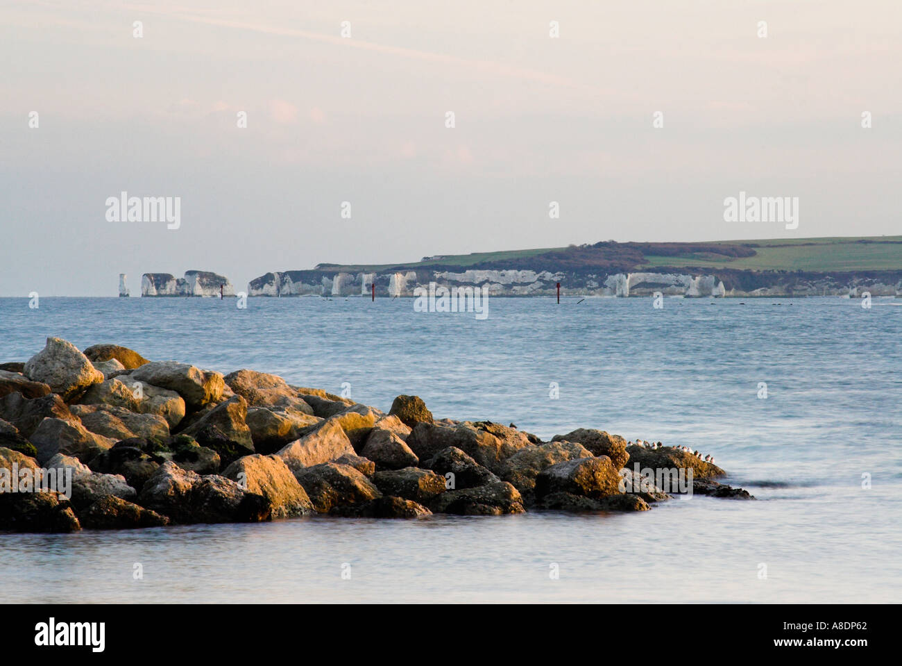 Blick auf die Altstadt Harry Felsen von Sandbänken Poole Dorset England UK Stockfoto