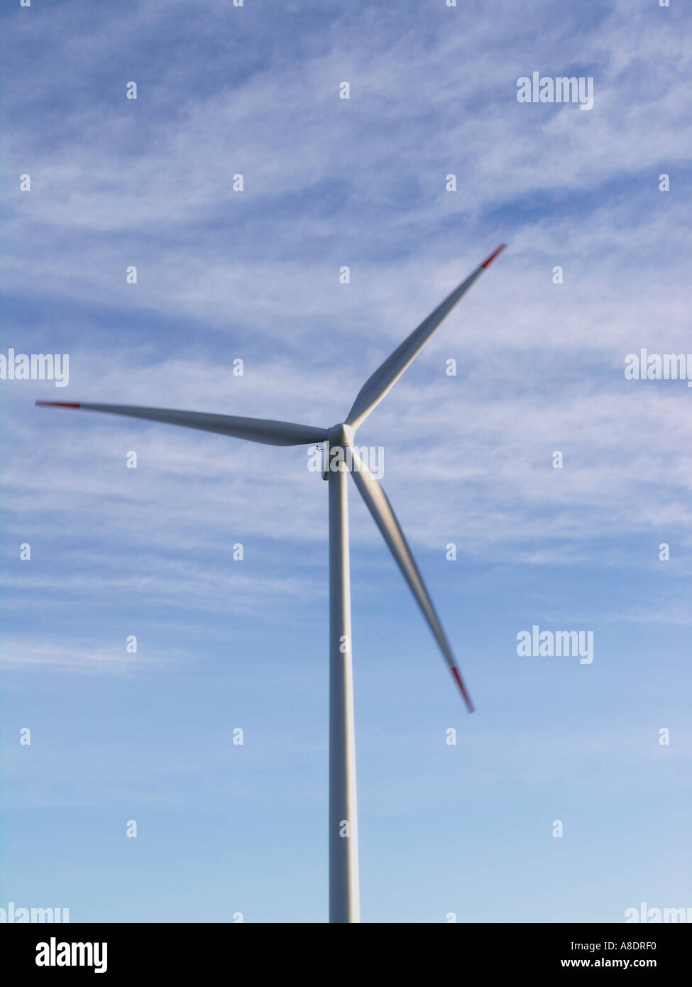 Dänemark-Jütland Vestas VM 80 Windkraftanlagen in Bewegung Stockfoto