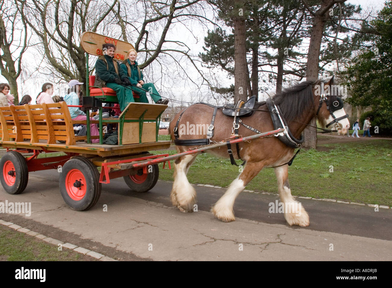 Clydesdale-Pferde ziehen Karren in Glasgow Park Glasgow Schottland GB UK Stockfoto