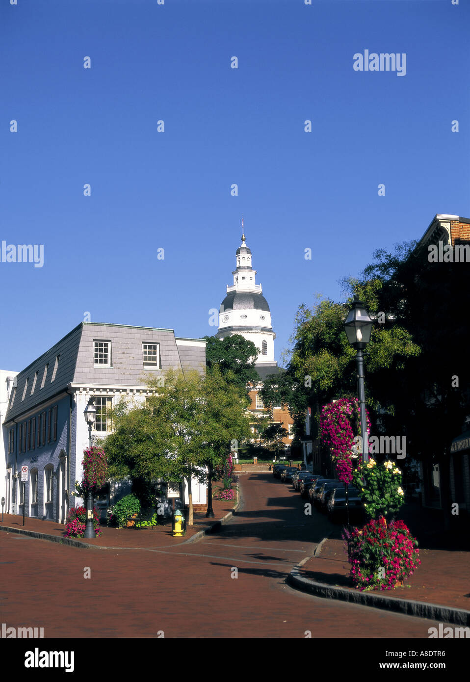 Francis Street und State House, Annapolis, Maryland, USA Stockfoto