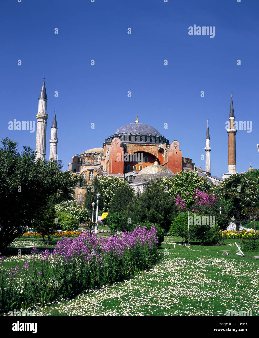 Hagia Sofia Moschee Istanbul Türkei Stockfoto