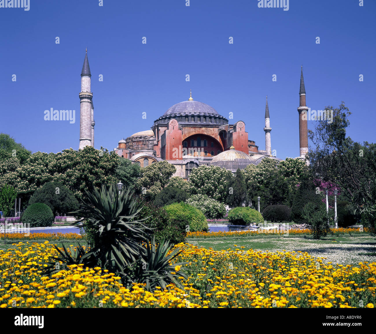Hagia Sofia Moschee Istanbul Türkei Stockfoto
