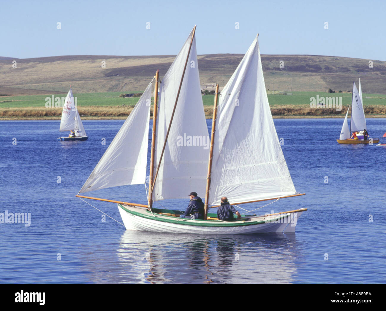 dh Longhope Regatta HOY ORKNEY traditionelle Orkney Yole Segelboote weißen Blatt Segel Boot schottland Meer Stockfoto