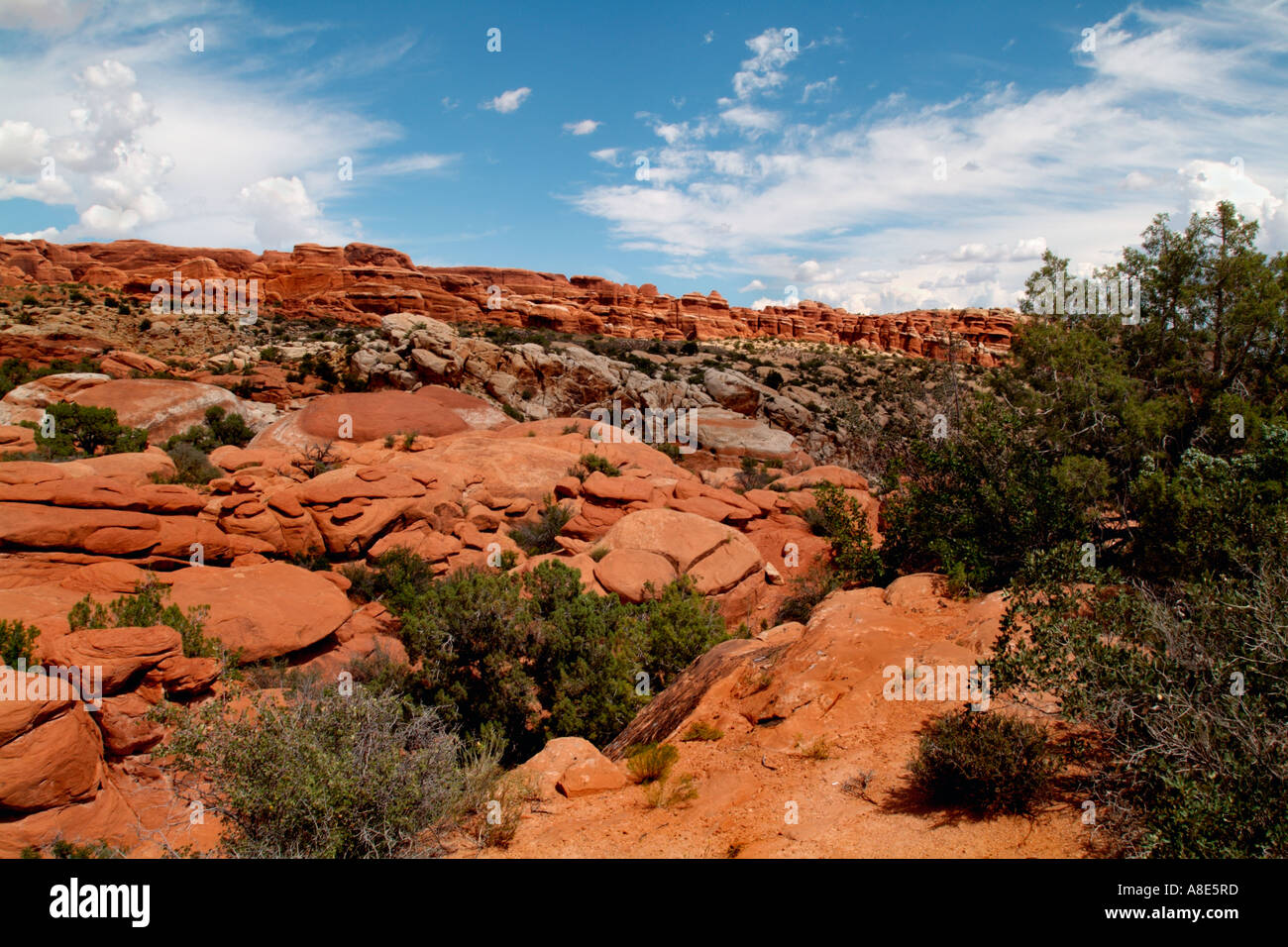 Felsformationen im Arches National Park Utah USA Stockfoto