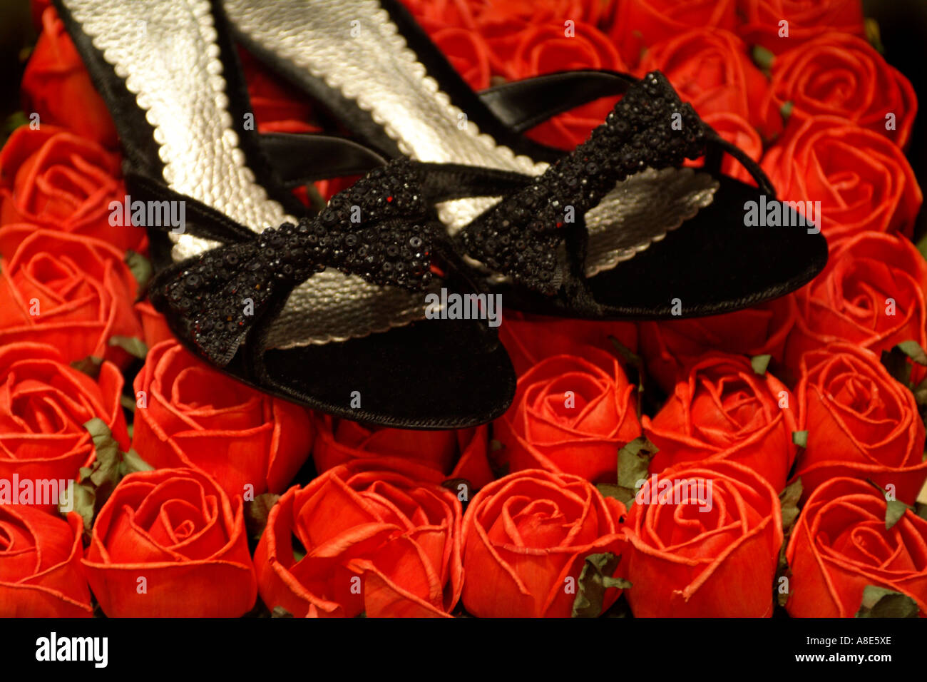 Schwarze High Heel Schuhe auf einem Bett aus roten Rosen Stockfotografie -  Alamy