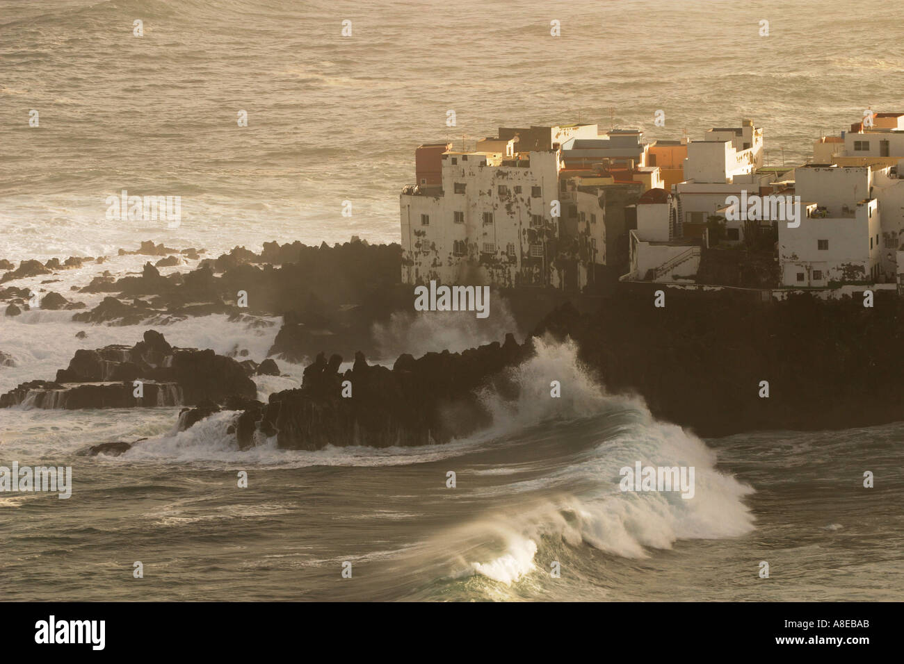 Punta Brava in Puerto de la Cruz Teneriffa Kanarische Inseln Spanien Stockfoto