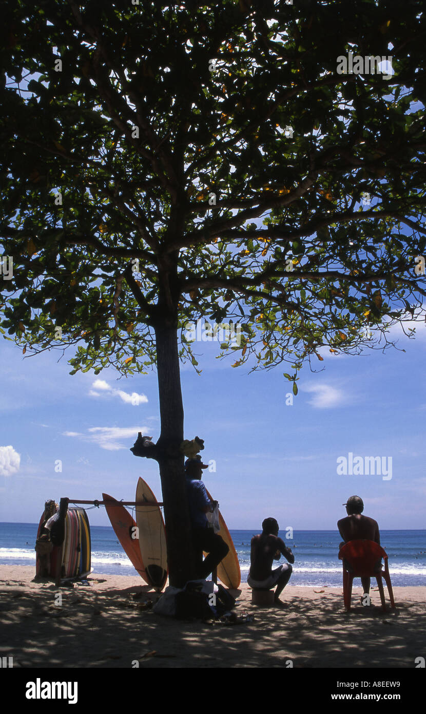 Surf-Board-Verleih im Schatten am Kuta Beach auf Bali-Indonesien Stockfoto