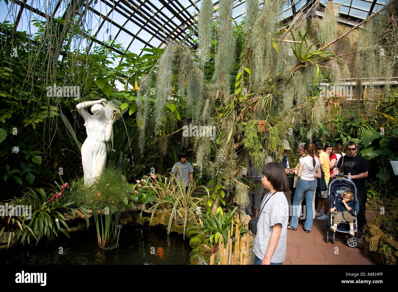 CHICAGO Illinois Besucher am Lincoln Park Conservatory Orchideen blühen