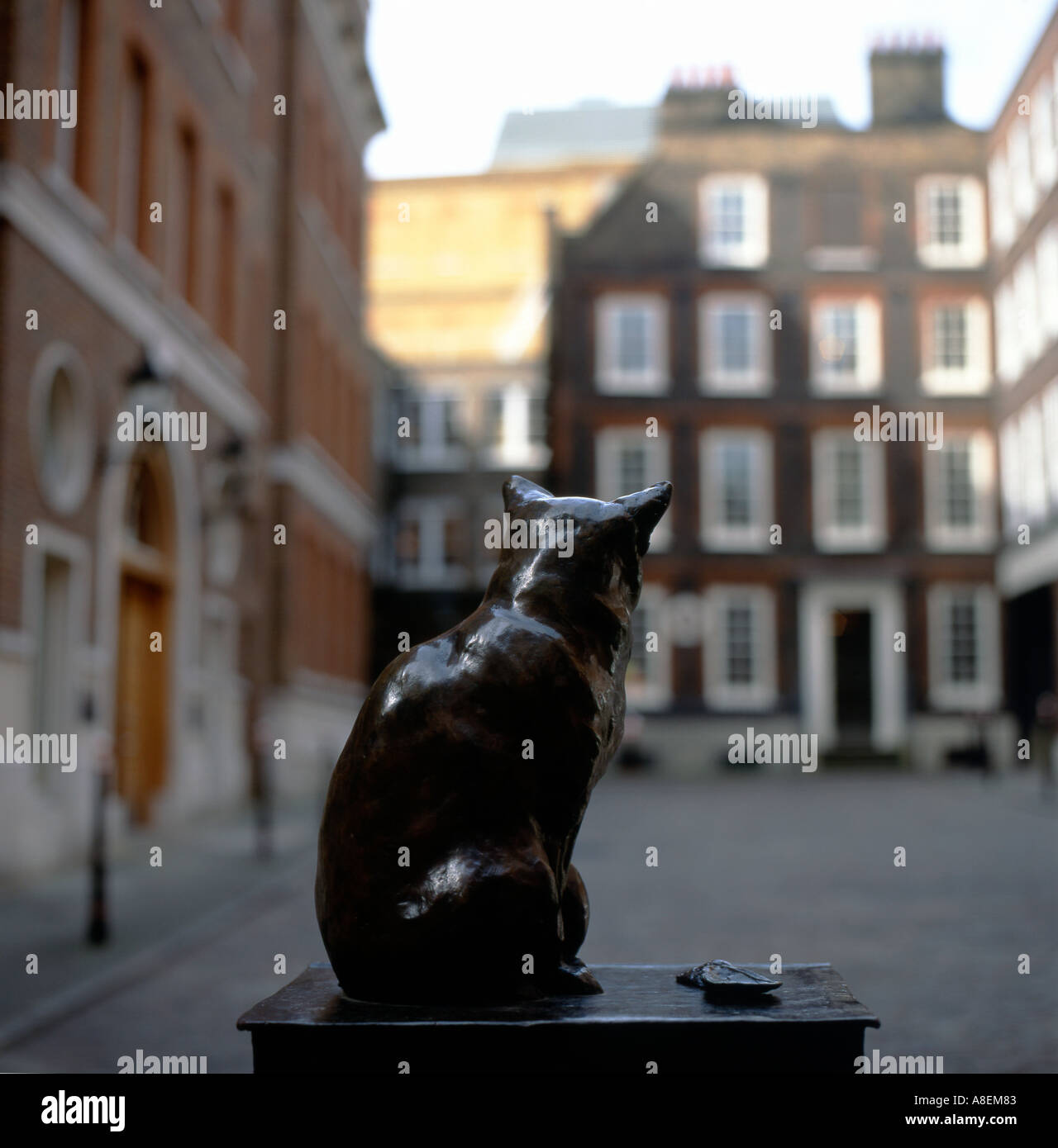 Ein Denkmal Statue von Dr. Samuel Johnson Haus von Hodge die Katze außerhalb seines Wohnsitzes in die Gough Square London EC4England KATHY DEWITT Stockfoto