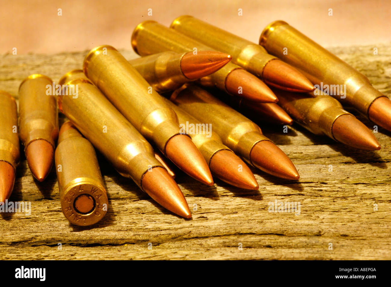 ein Haufen von scharfer Munition 308 762 Gewehrkugeln Patrone Leben runden Stockfoto