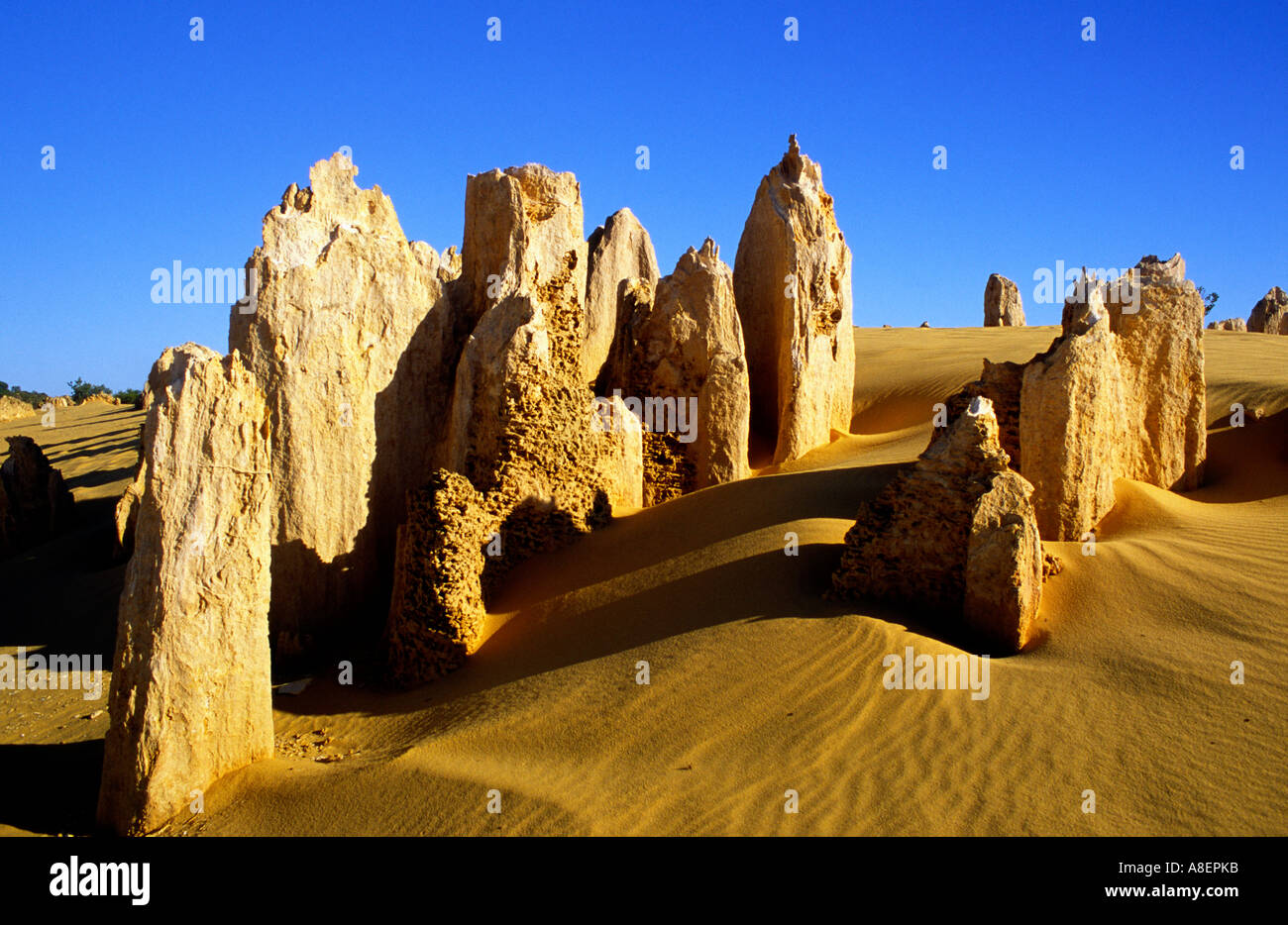 Das Cervantes Pinnacles Nambung National Park Western Australia Stockfoto