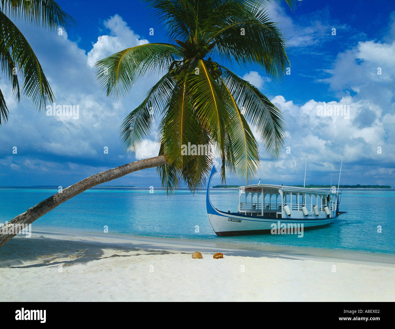 Malediven-Inseln Indischer Ozean Baa Atoll Safariboot Stockfoto
