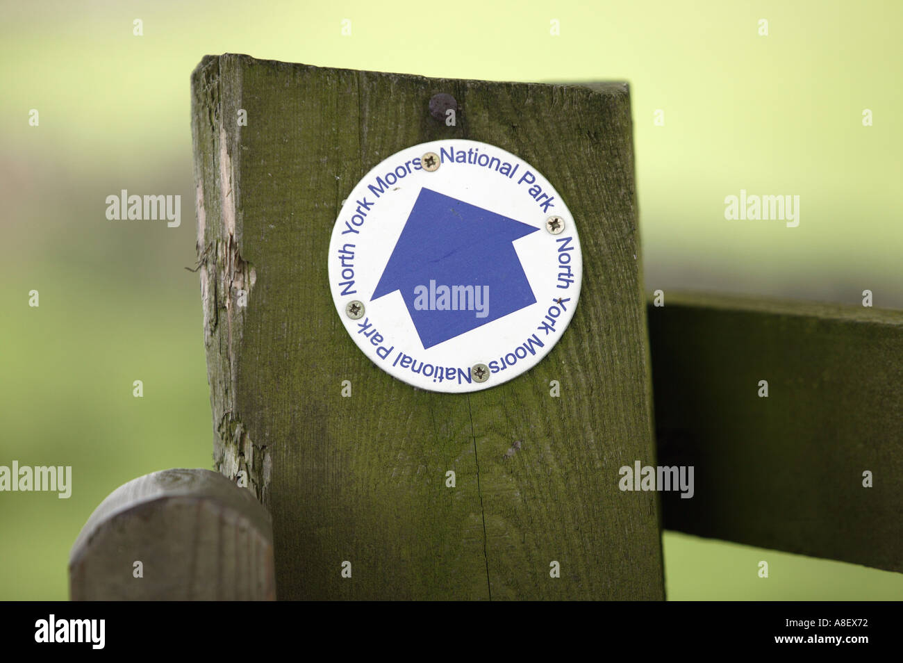 Ein Schild weist den Weg in eines der Hunderte von Wanderwegen im Nationalpark North Yorkshire Stockfoto