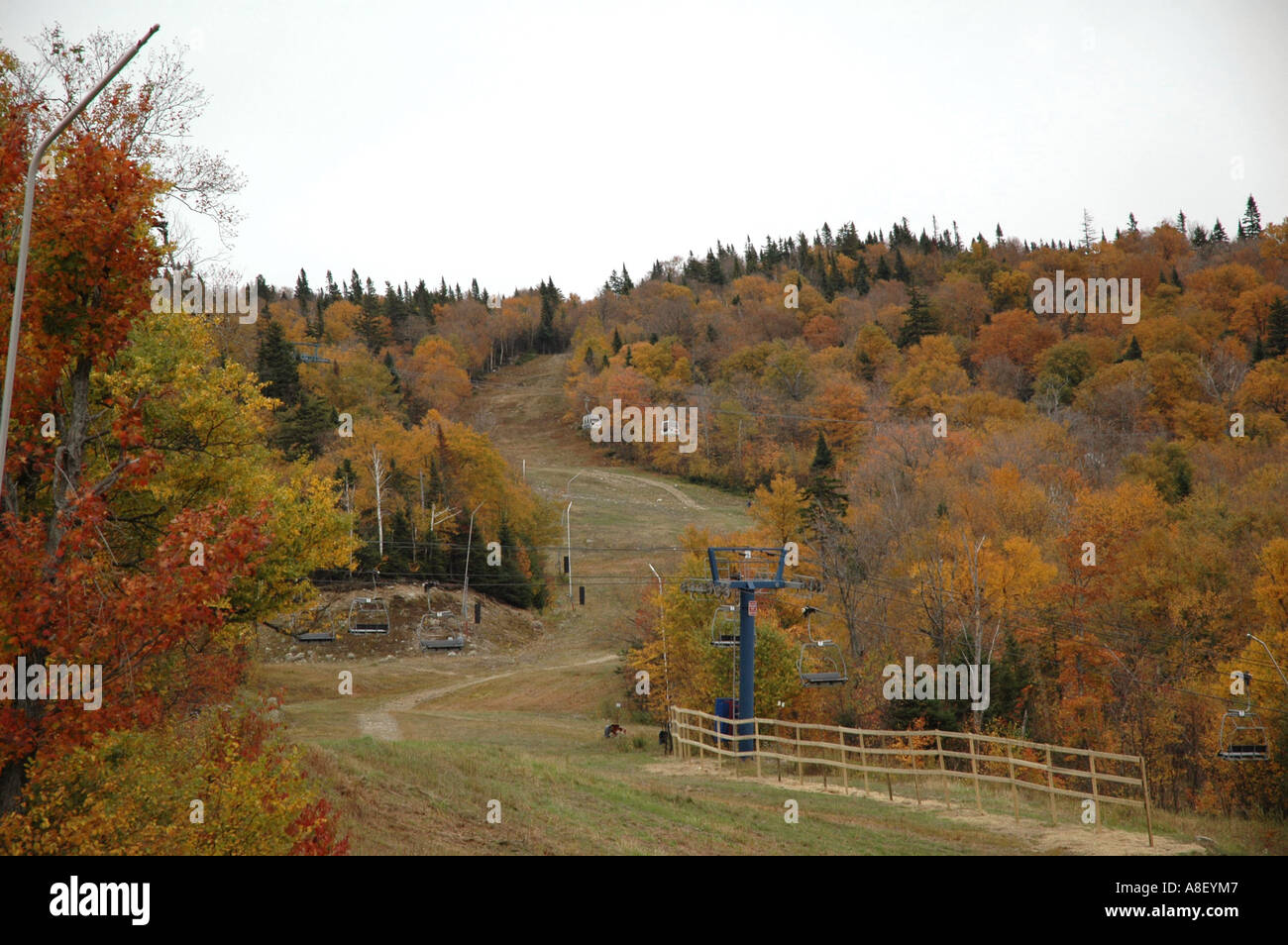 Ski-Abfahrt ohne Schnee im Herbst, Kanada Stockfoto