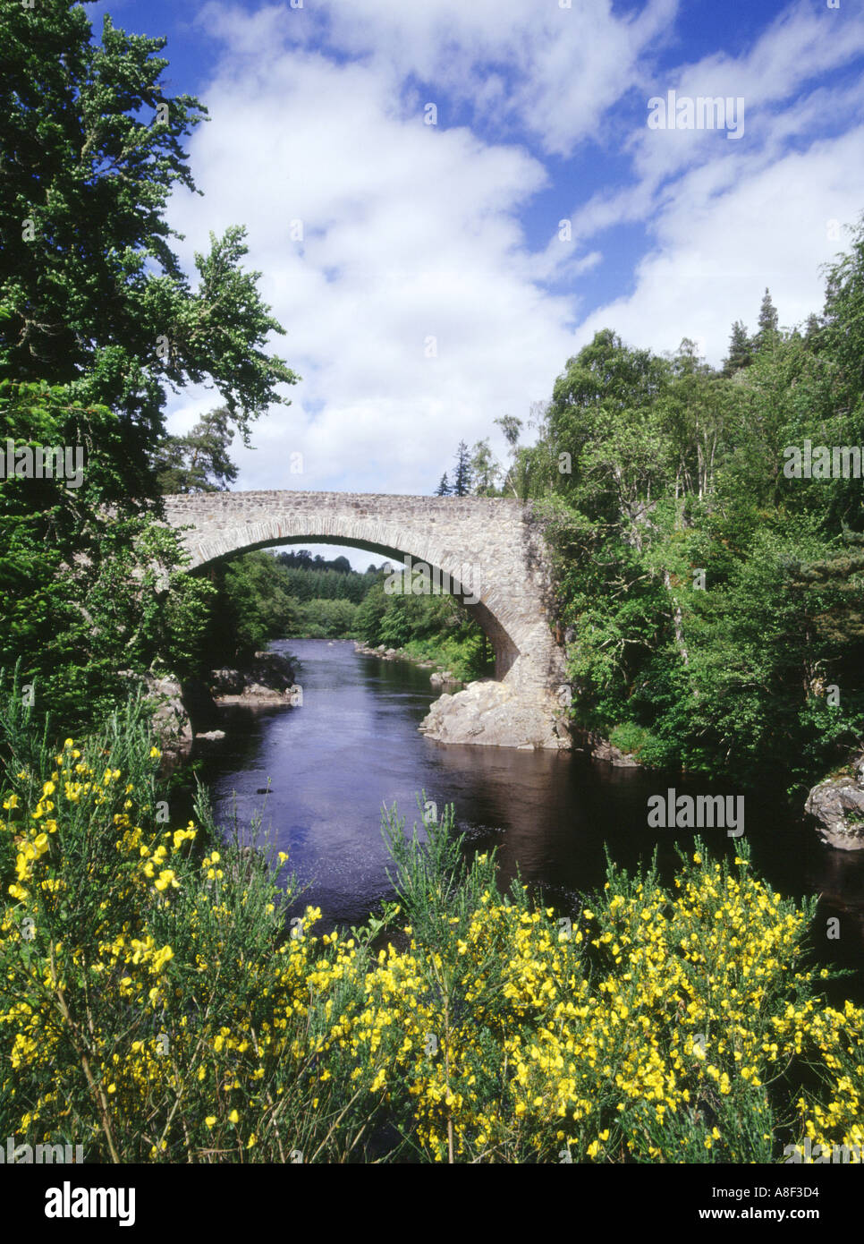 dh Daltulich Bridge FINDHORN RIVER MORAY SCHOTTLAND Schottischer blauer Himmel Weiße Wolken einbögen Steinbrücken über Flüssen Wasser Stockfoto