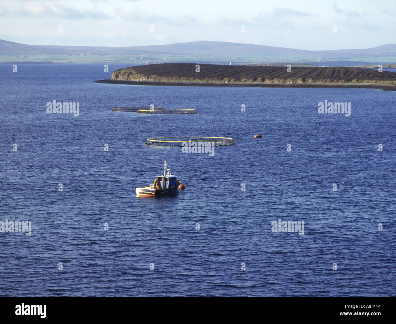 dh Rysa Salmon ORKNEY LACHS UK Boot und Fischfarm Käfige Rysa Sound und Rysa kleine Inseln Fischernetze Käfig Stockfoto