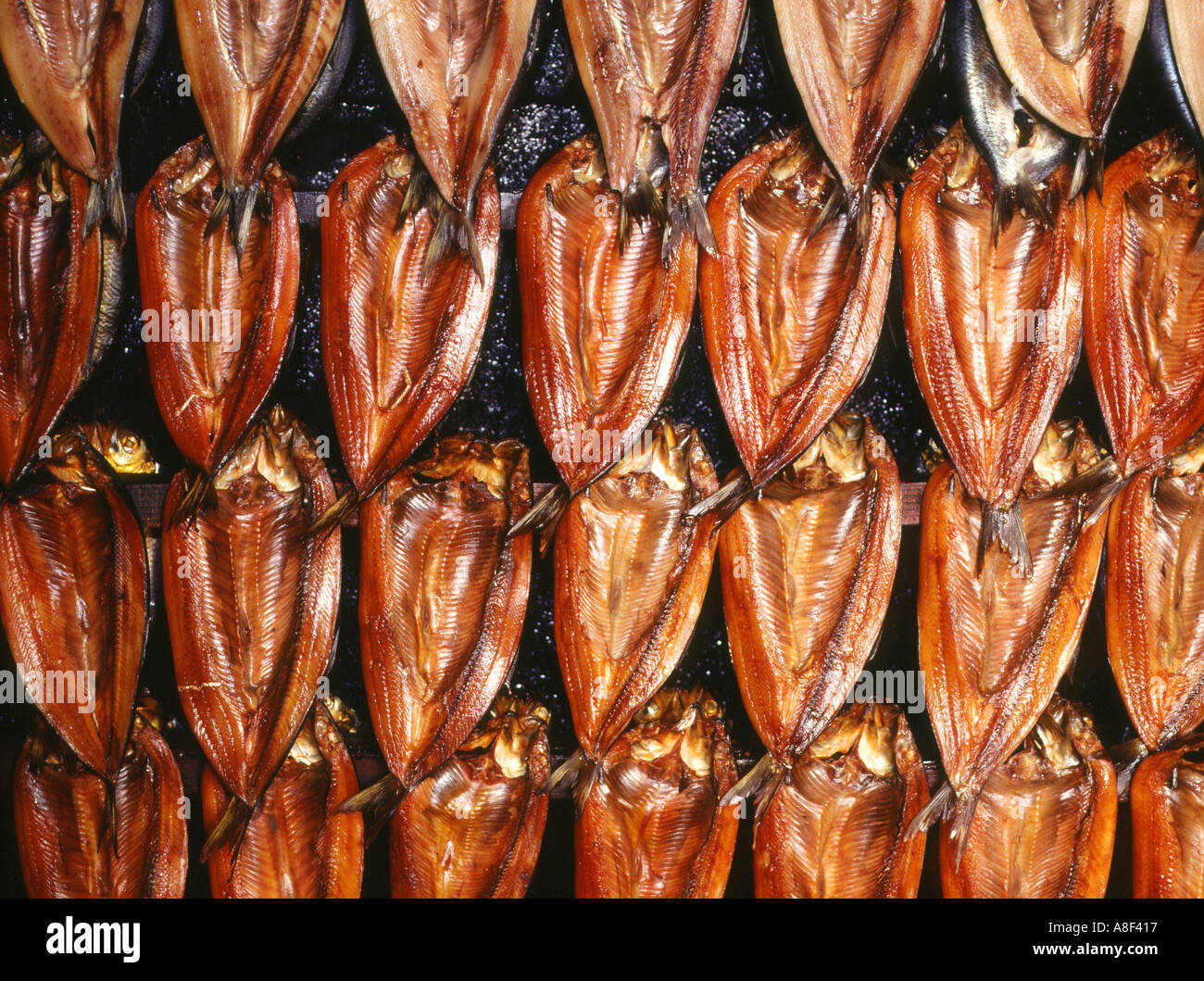 dh Scottish Smoking Ofen Display FISCH GERÄUCHERT UK SCHOTTLAND Reihen Von geräucherten Kippern konservierte Lebensmittel getrocknet hängen aus der Nähe geheilt Fische Stockfoto