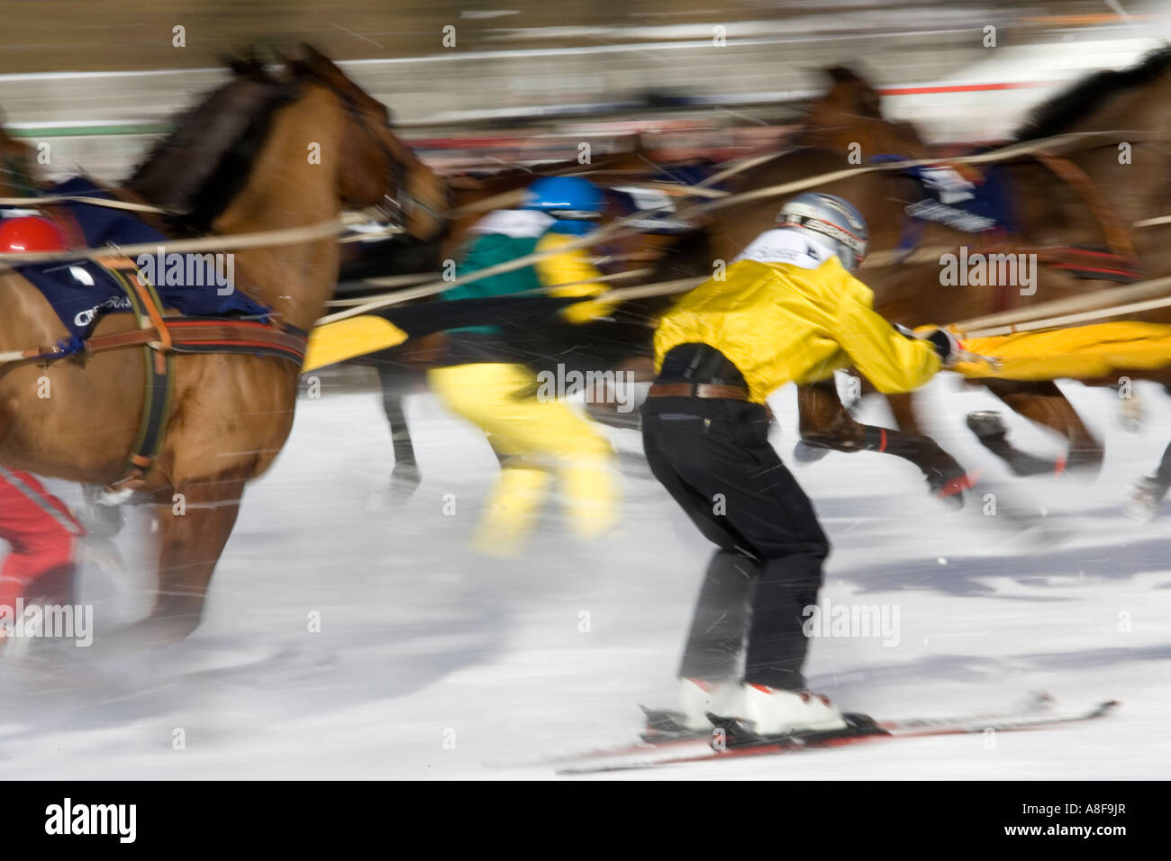 Ski Jouring hinter Pferde auf dem zugefrorenen See von St. Moritz, Schweiz  Stockfotografie - Alamy