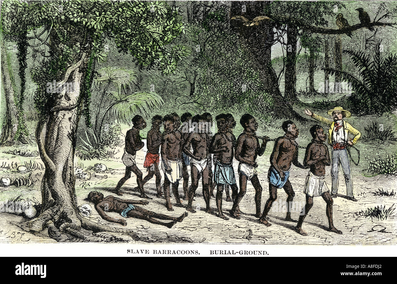 Afrikanischen gefangenen marschierten zu Slave der Schiffe, die durch Slave Grabstätten 1800. Hand - farbige Holzschnitt Stockfoto
