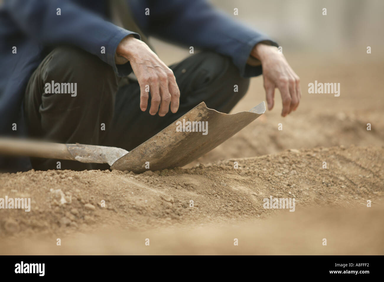 ein Close Up eines chinesischen Bauern sitzen in einem Bergrücken des Feldes Stockfoto