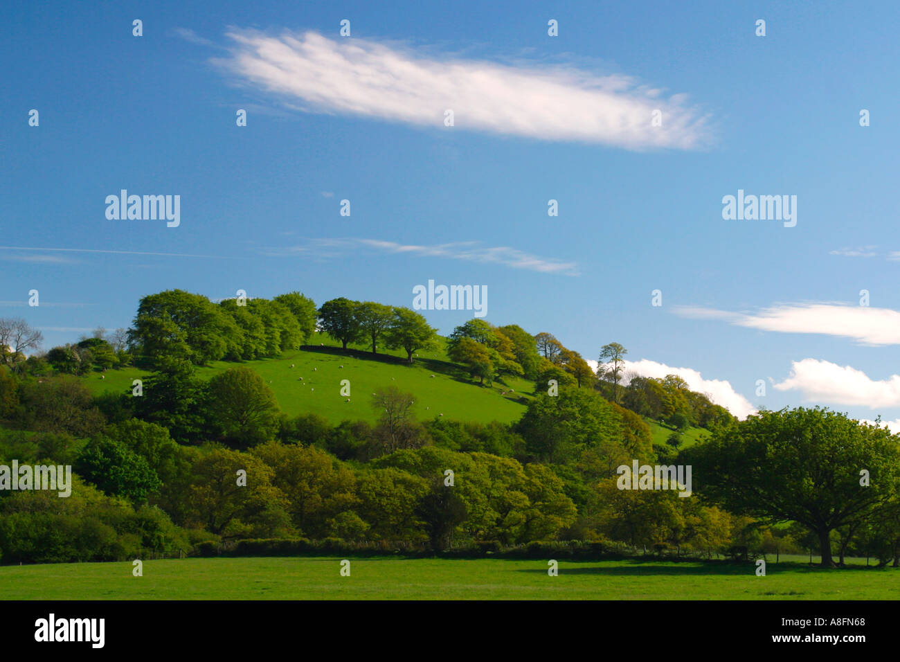Grün bewaldeten Hügeln in der Nähe von Brücken Shropshire England UK GB britischen Inseln Europa EU Stockfoto