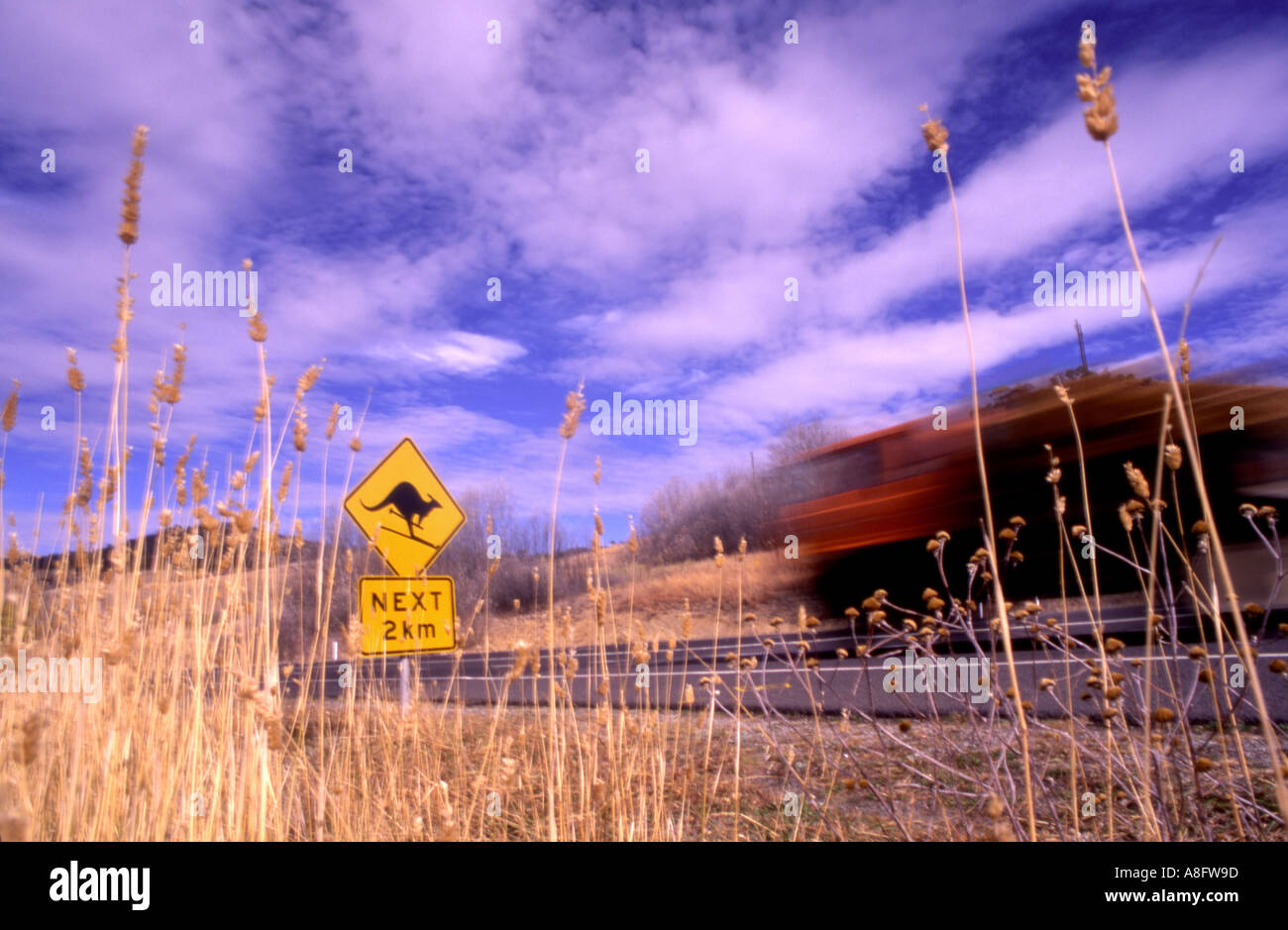 Schild Warnung zeigt ein Känguru in diesem Fall auf Skiern hinzugefügt von Öffentlichkeit mit LKW vorbei Kosciuszko-Nationalpark Stockfoto