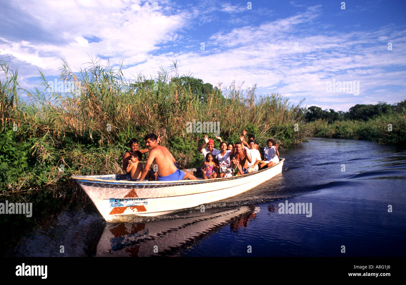 Mexiko-mexikanische San Blas La Tovara Frühjahr Mangrove Stockfoto