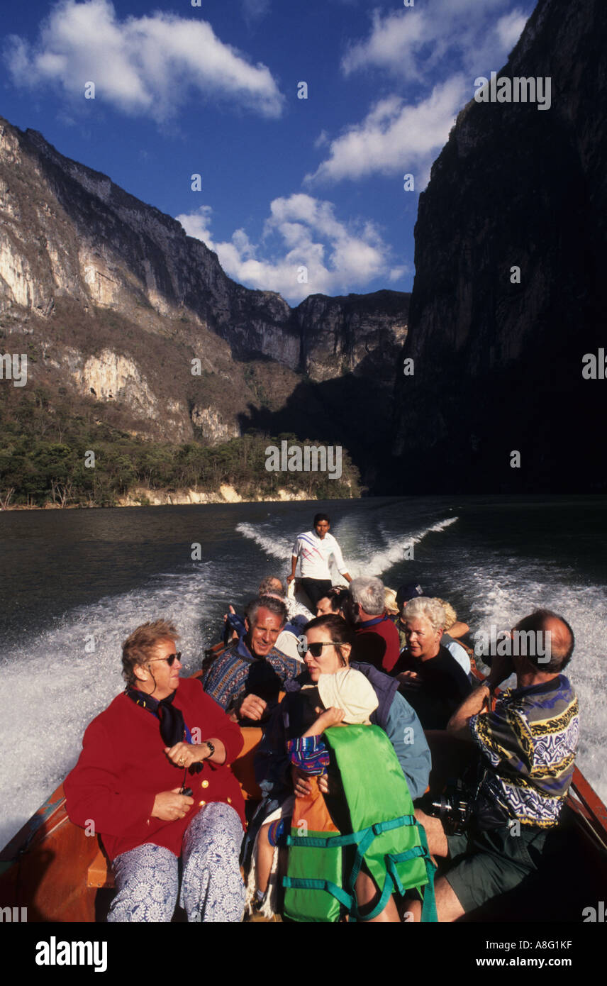 Mexiko San Blas La Tovara Frühjahr Mangrove Mexikanisch Stockfoto