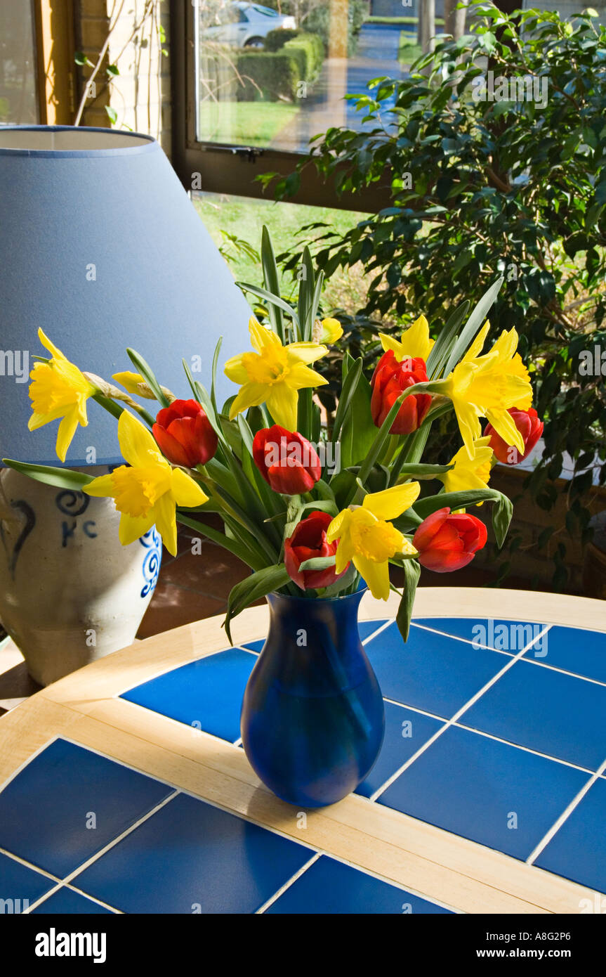 Eine bunte Anordnung von roten Tulpen und gelbe Narzissen in blauer vase Stockfoto
