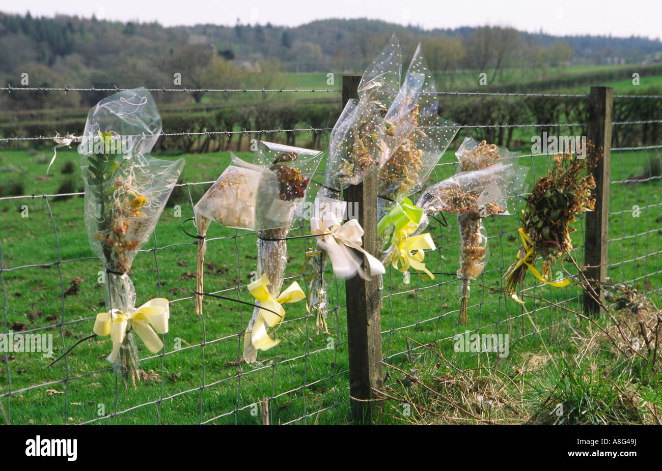 Bouquet von Blumen am Straßenrand markieren den Ort wo es zu einem tödlichen Verkehrsunfall Scotland UK Stockfoto