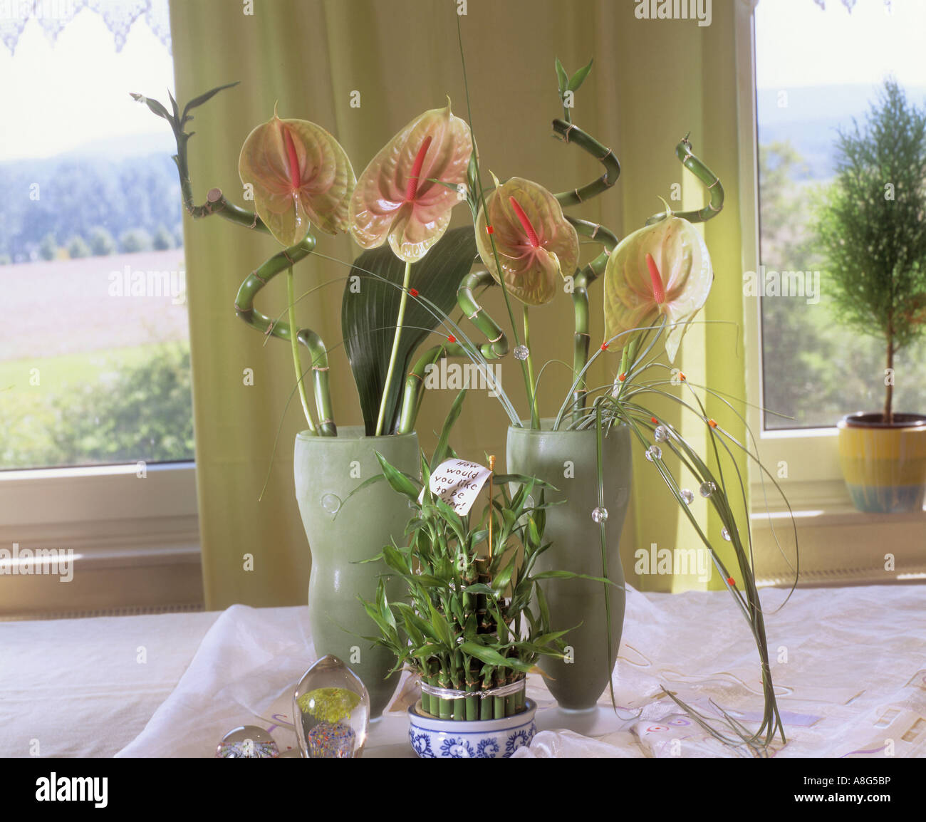 Bambus blumen arrangement -Fotos und -Bildmaterial in hoher Auflsung   Alamy