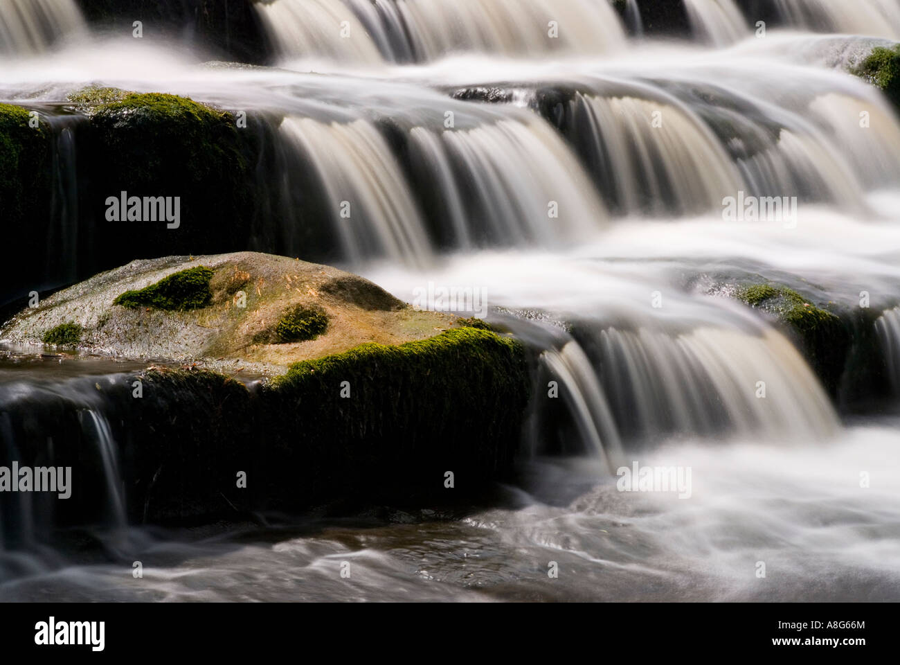 Wehr auf dem Fluß Wharfe im Burley in Wharfedale Stockfoto