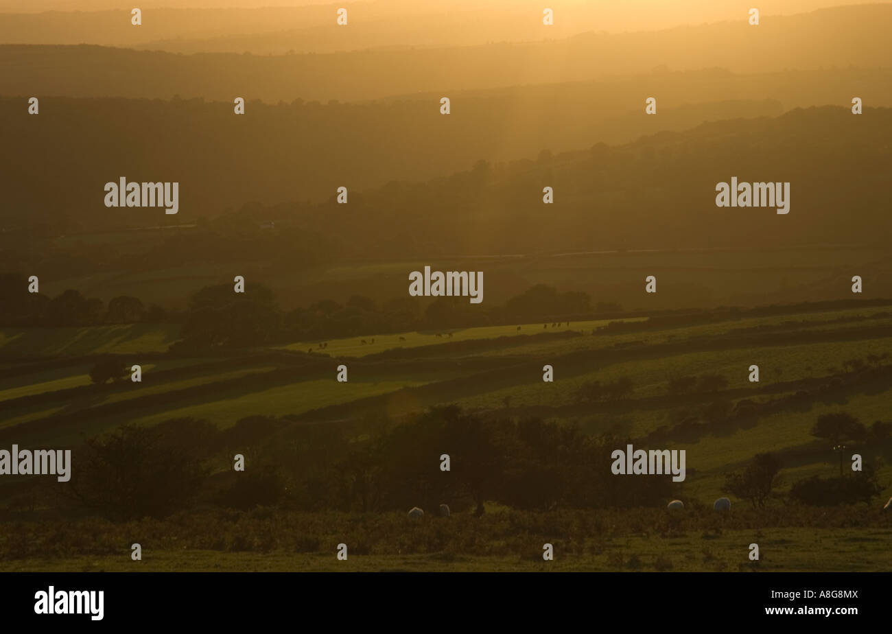 Trüben Abend und sonnigen Feldern, Devon, UK Stockfoto