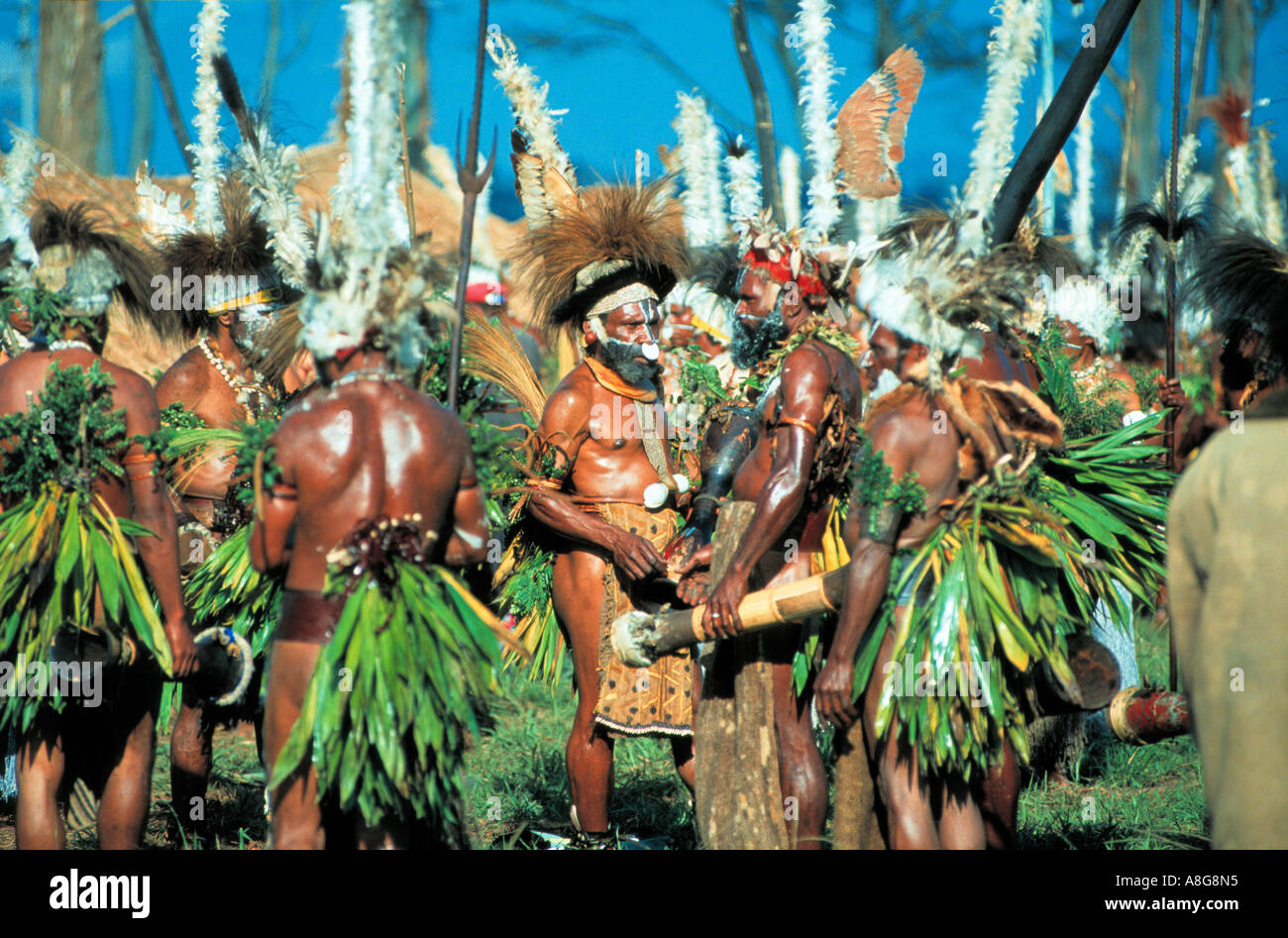 dekoriert, Aborigines durchführen, Mt. Hagen, Papua-Neuguinea Stockfoto
