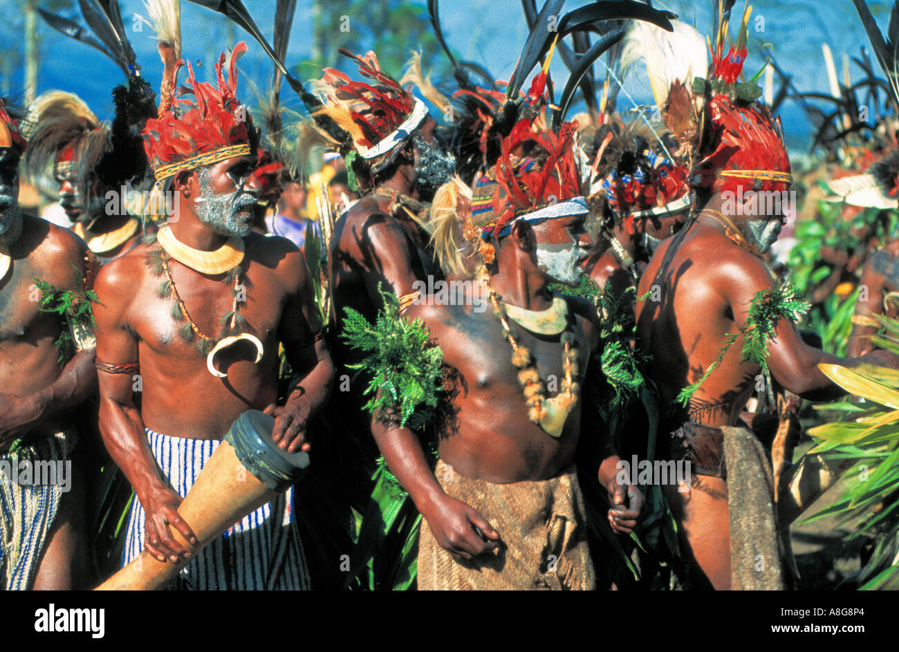 dekorierte Aborigines durchführen, Mt. Hagen, Papua-Neuguinea Stockfoto