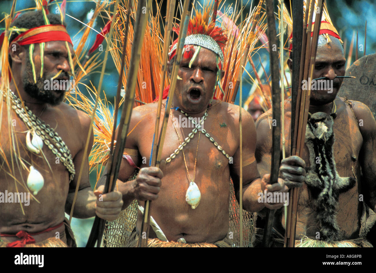dekorierte Aborigines, Goroka, Papua New Guinea Stockfoto