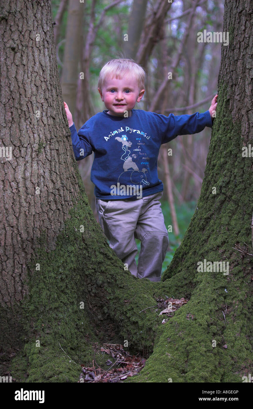 Kleiner Junge Klettern durch alte Rundschnitt Eiche (Quercus Rober) Stockfoto