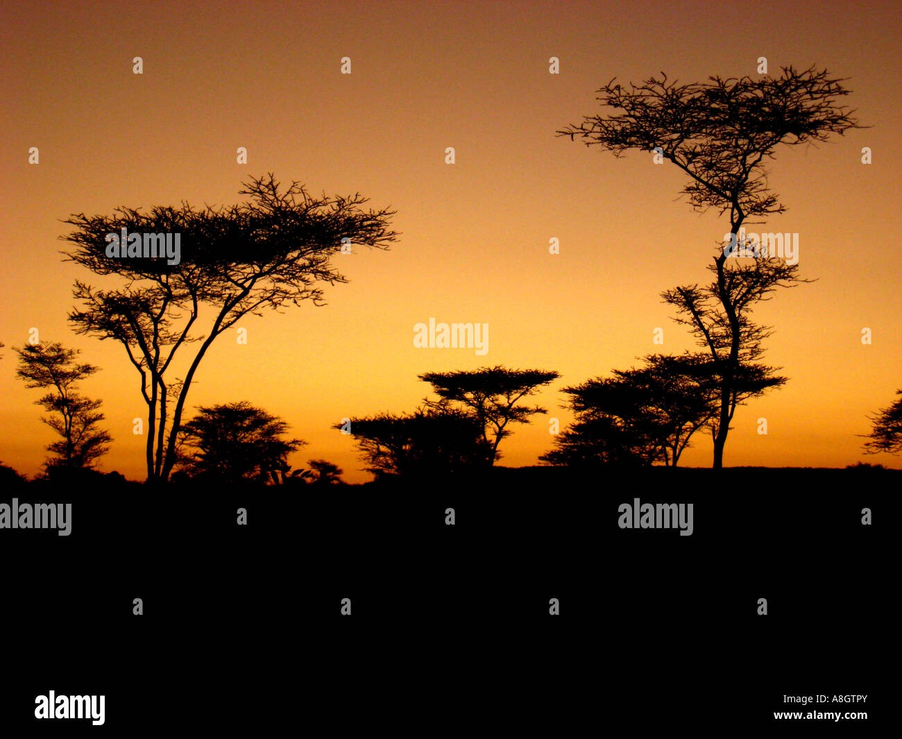 Freundlichen Sonnenuntergang - Afrika Stockfoto