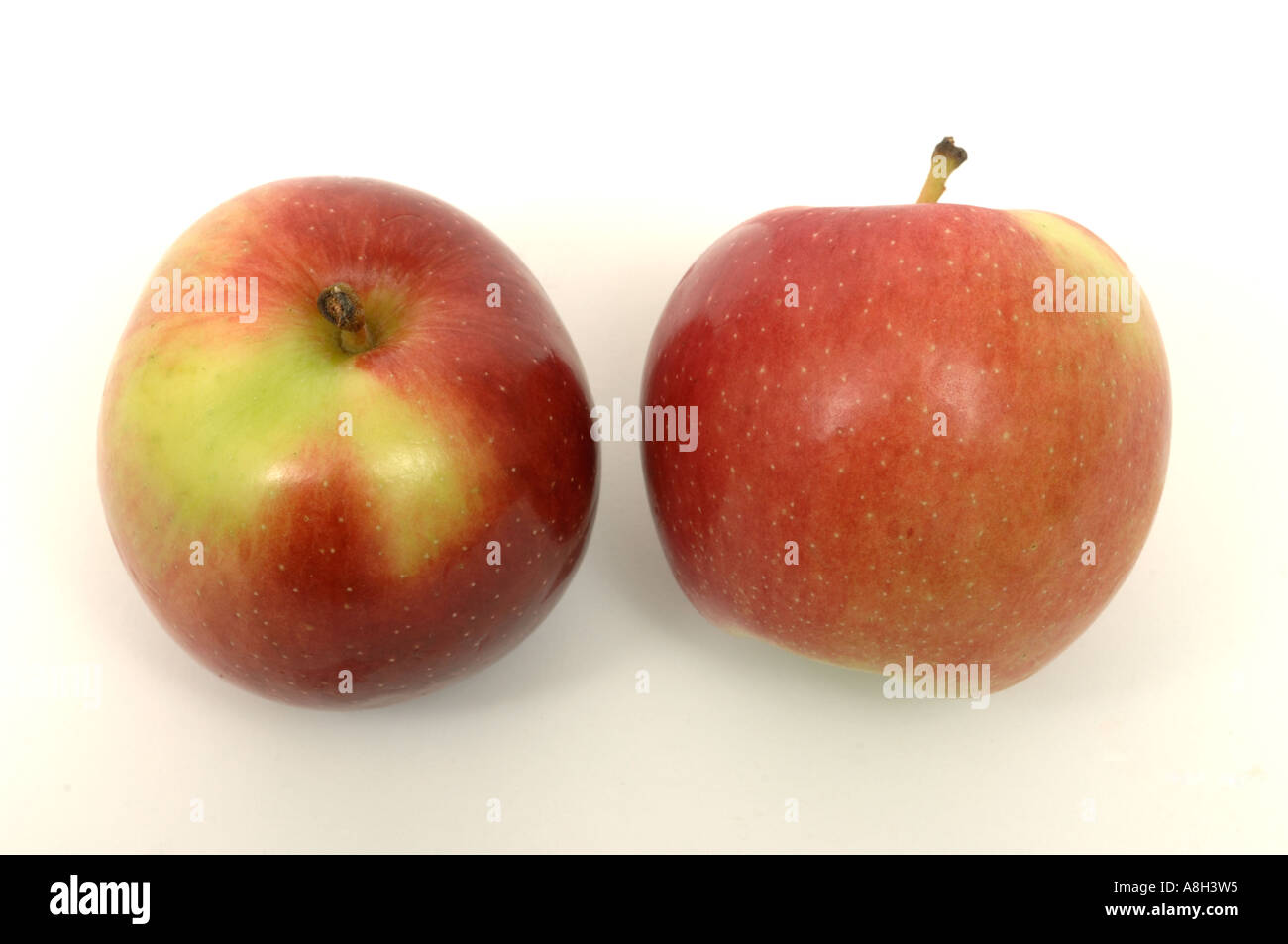 Reiches Äpfel Supermarkt gekauft und in einem normalen Geschäft Zustand Stockfoto
