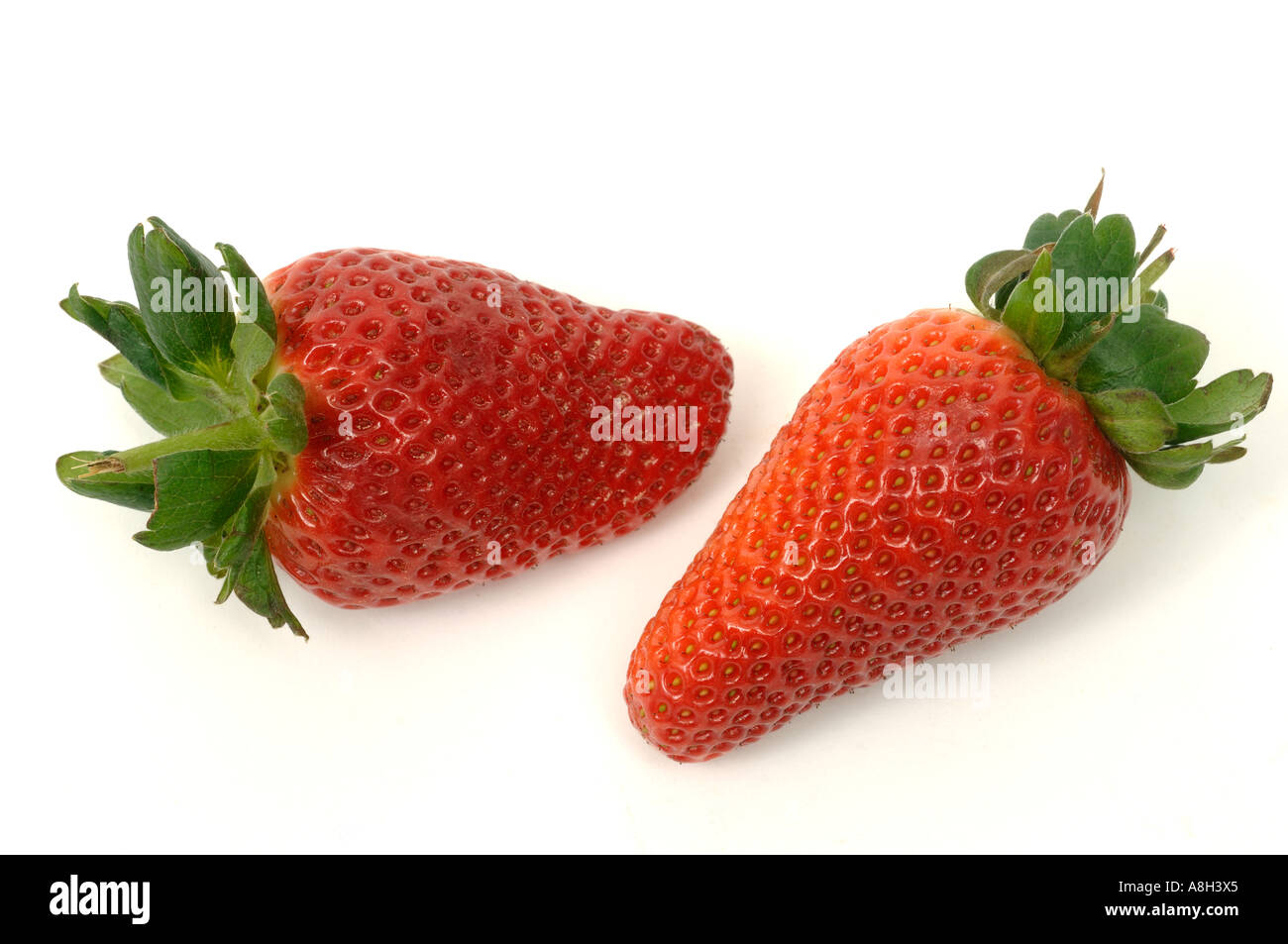 Spanische Erdbeeren Früchte Supermarkt gekauft und in einem normalen Geschäft Zustand Stockfoto