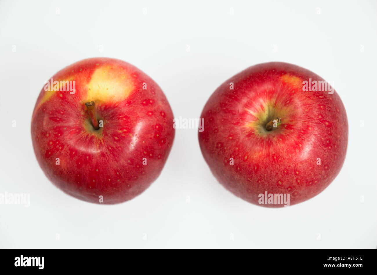 Apfel rot lecker erhöhten Blick Stockfoto