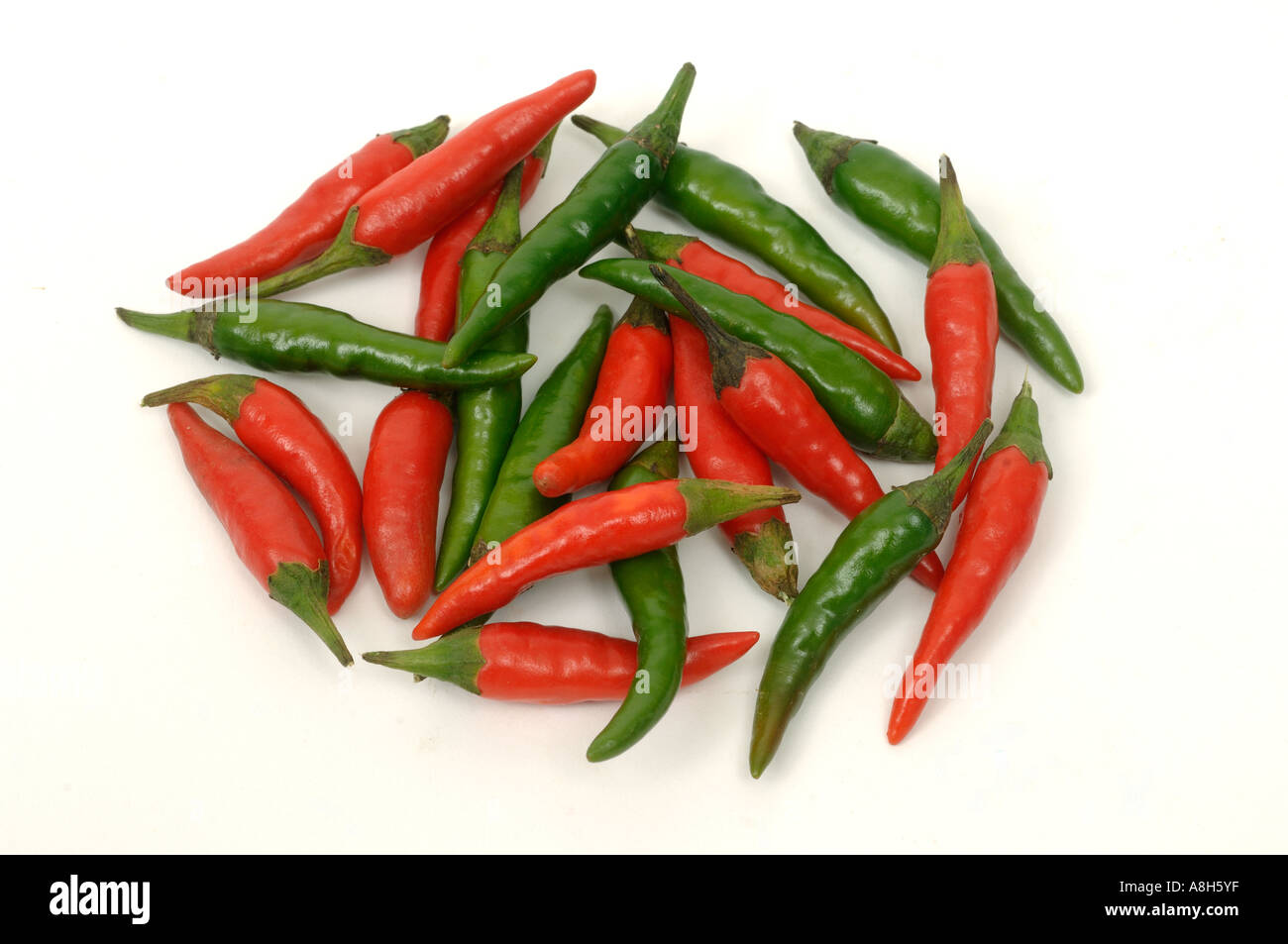 Pflanzliche Produkte typischen Supermarkt gekauft rote grüne Chili Paprika Stockfoto
