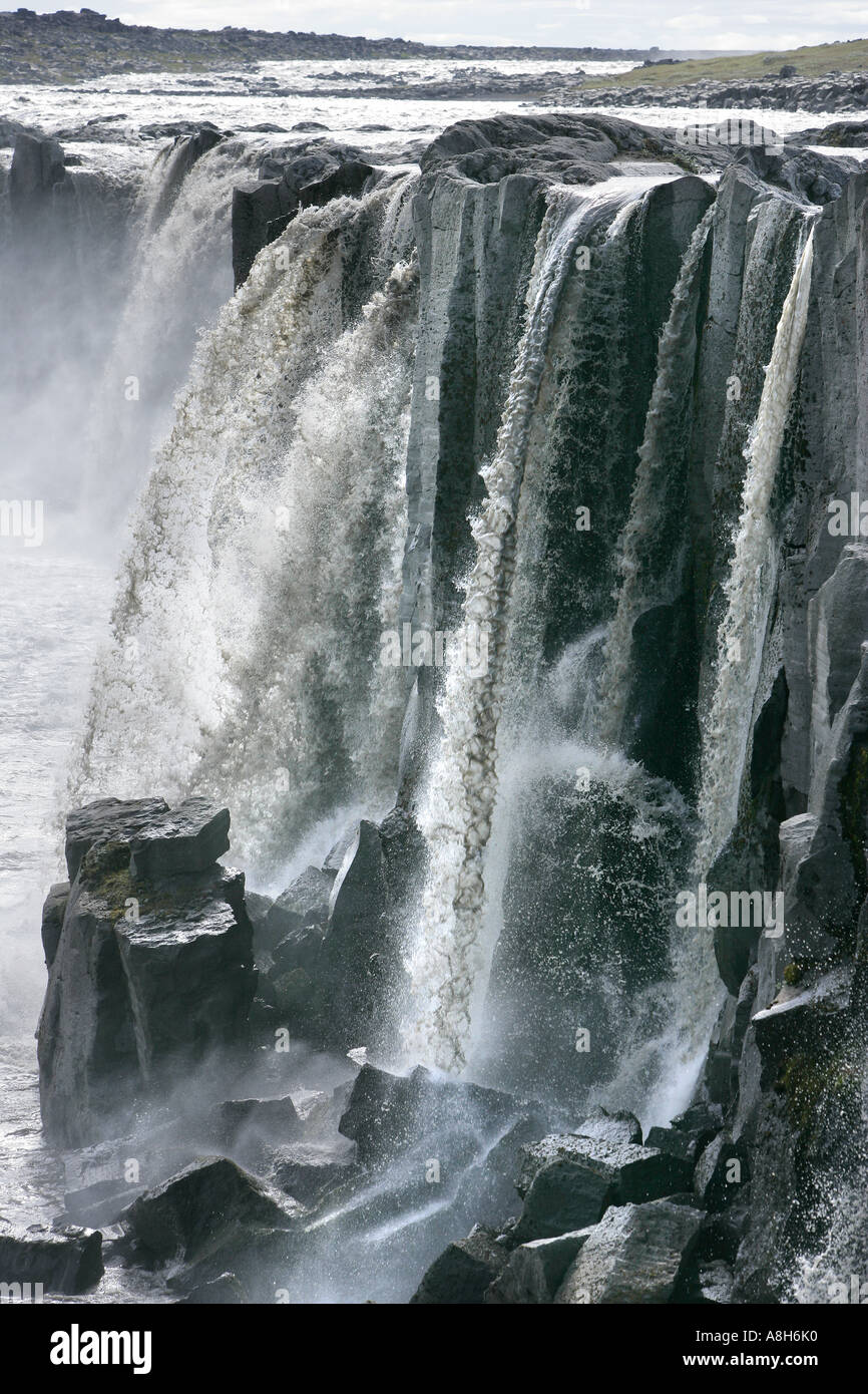 Selfoss Wasserfälle Islands Stockfoto
